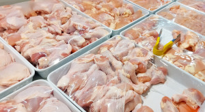 Rekordowy eksport polskiej żywności. Mięso, cukier i nabiał warte już ponad 18 miliardów euro