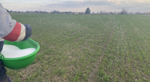 Terminy na nawożenie azotem. Kiedy można je wydłużyć?