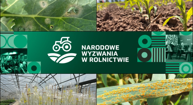 Dobór odmiany to nie losowanie. Łączmy hodowlę z ochroną