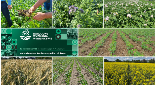 Nie musisz wybierać między wysokimi plonami a kondycją gleby. Wystarczy regeneratywny i produkcyjny płodozmian