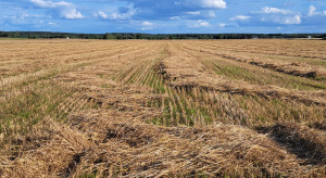 Nowe przepisy o dzierżawie uderzą w rolników