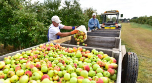 Spółka Eskimos SA ogłosiła upadłość. Żeby odzyskać należności, trzeba szybko działać
