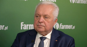 Ukraina chce zwiększyć tranzyt zboża przez Polskę. "Nasze może utknąć w kolejkach"