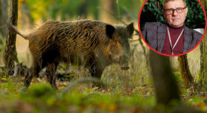 Będzie zakaz polowań w powiecie piotrkowskim? Rolnicy biją na alarm