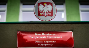 Ta propozycja nie spodoba się rolnikom. Eksperci o reformie dot. KRUS