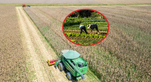 Jak rolnicy z Mercosuru komentują umowę z UE? Nie brakuje ostrych głosów