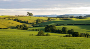 KOWR odkupił działkę w Zabłotni przeznaczoną pod budowę CPK