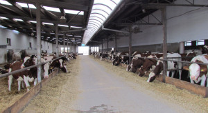 Koniec wygodnego alibi. Kto naprawdę zadecyduje o pieniądzach dla rolnictwa po 2027 r.?