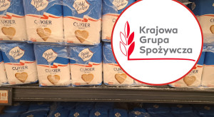 Co KGS zrobiła z 900 mln zł, za które miał być kupiony Hortex?