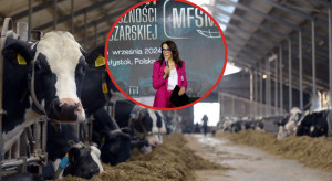Porozumienie handlowe UE – USA. Maliszewska: widzę więcej zagrożeń niż szans dla polskiego sektora mleczarskiego