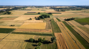 Państwo bierze się za dzierżawy. Co naprawdę zmieni nowa ustawa ministra rolnictwa?