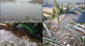 Azot w lutym? Wiele wskazuje na to, że ani warunki, ani przepisy na to nie pozwolą