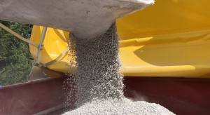 Czy wiosenne wapnowanie ma sens? Wskazania i ograniczenia