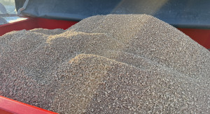 Idzie ocieplenie. Można wysiać nawóz?