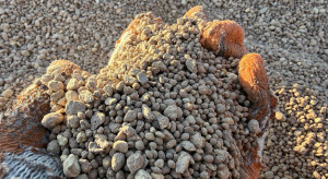 Siarka w pszenicy? Po co i jaki ma to sens?