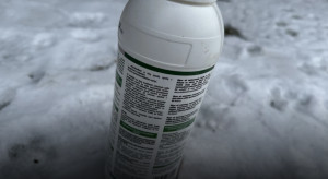 Mrozy niebezpieczne dla ŚOR. Czy przemrożony preparat pozostaje skuteczny?