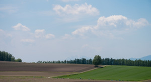 Małe zagrożenie suszą hydrologiczną na wiosnę 2026 roku. Ekspert przewiduje