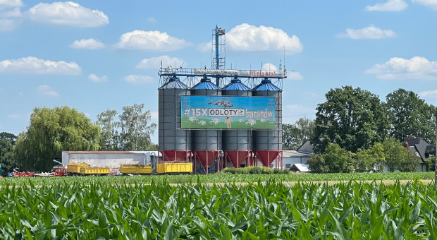 Koniec gospodarstwa Szymańczaków. Tam, gdzie rosła kukurydza, będzie pas startowy