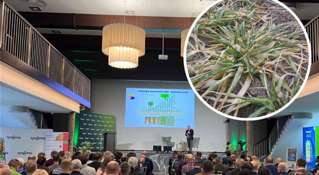 Jak pomóc oziminom? Ostatnia szansa, aby o tym porozmawiać podczas konferencji Farmer w Regionach 2026