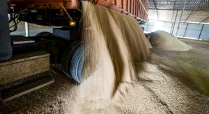 Kolejki w skupach tam, gdzie płacą po 800 zł za pszenicę. Raport cen zbóż [13.02]