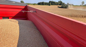 Rynek pełen zboża i pełen niepewności. Ekspert wycenia ryzyko nowego sezonu