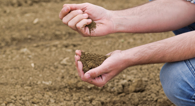 Definicja rolnika aktywnego potrzebna, ale inna. Wyniki Ogólnopolskiego Badania Farmera
