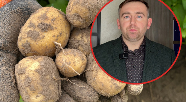 Magazyny pełne, a ceny na dnie. Producenci wchodzą w nowy sezon bez perspektyw