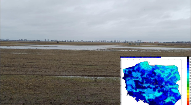 Wysoka potrzeba regeneracji ozimin. Kiedy będzie można wjechać z azotem? Nieprędko