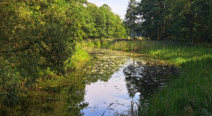 906 tys. ha gruntów rolnych do wyłączenia, 200 tys. do przekształcenia. Nowa strategia uderza w rolników