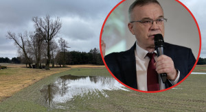 Co się stało z nawozami wysianymi przed roztopami? Prof. Szczepaniak tłumaczy, które pola są bezpieczne