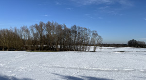 Azot na oziminy nie tak prędko. W kujawsko-pomorskim nadal śnieg i mróz