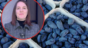 700 hektarów upraw i 5 hektarów pasji. Rodzinne gospodarstwo, które postawiło na niszę