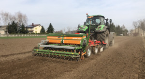 Zaczyna się czas siewów. Te rośliny siej na polach w marcu
