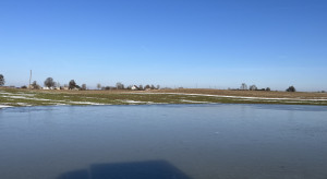 Rozlewiska na polach a azot na oziminy. Co się dzieje z roślinami?