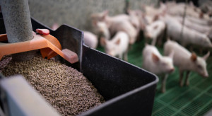 Hodowcy w kropce. Co dalej z inwestycjami w ramach KPO?