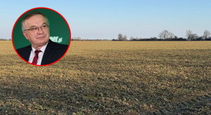 Prof. Szczepaniak: Zimna gleba i brak opadów hamują wiosenną regenerację i opóźniają działanie nawozów