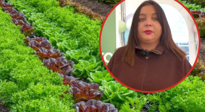 3 hektary wystarczą. To gospodarstwo daje pracę nawet 7 osobom