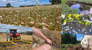 Jak łączyć ekoschematy w kampanii 2026?