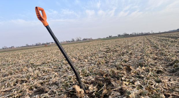 30 ha i gospodarstwa na rozdrożu. Utrzymają produkcję czy wypadną z rynku?