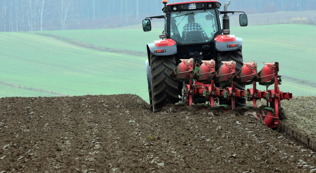 W tym roku orka wiosenna szczególnie się nie opłaca