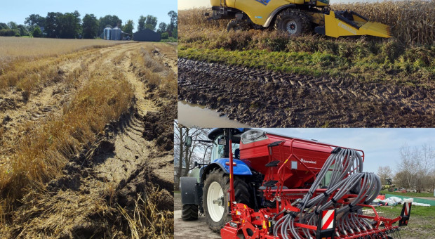 Zmęczenie po jesiennym sezonie i mokra wiosna. Na Żuławach rolnicy wciąż czekają na wjazd w pole