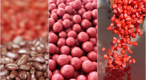 Czy rolnik musi pokazywać zaświadczenie przy zakupie zaprawionych nasion? MRiRW oraz PIN wyjaśniają