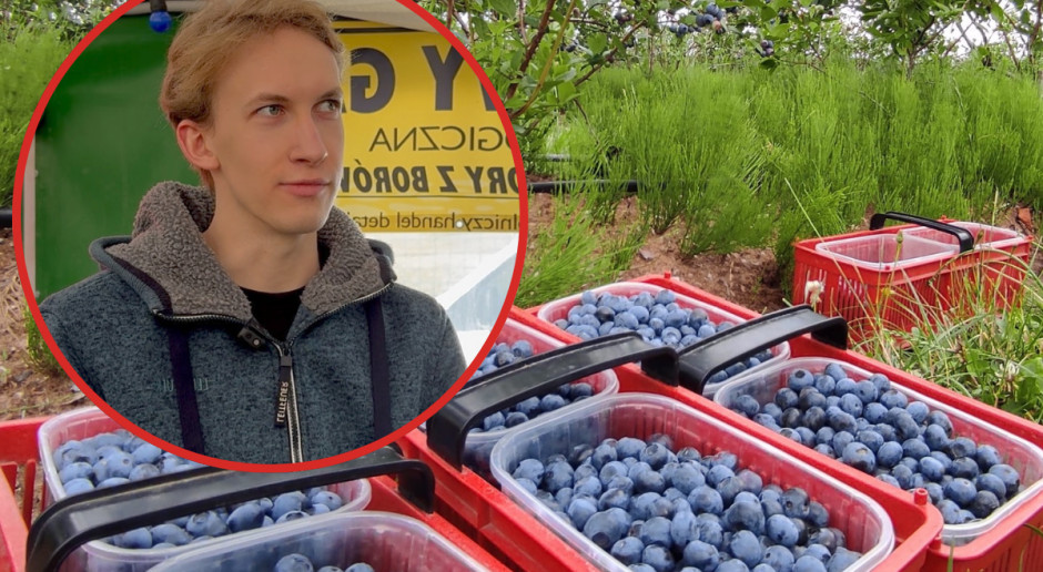 Wideo - Nie areał, a pomysł. Jak zarabiać na 2 hektarach borówki?