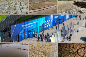 Klimat uderza w rolników. KE uruchamia 21,5 mln euro na straty wywołane pogodą