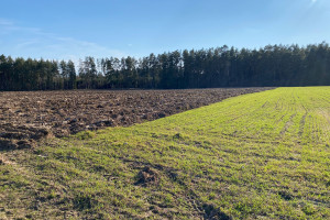 Który ekoschemat rolnicy wybierają najczęściej w kampanii dopłat 2026?