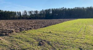 Który ekoschemat rolnicy wybierają najczęściej w kampanii dopłat 2026?