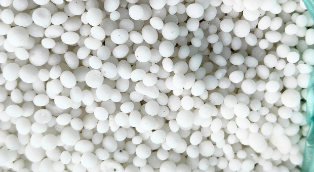 Mocznik najdroższy od 4 lat. Ceny nawozów mogą rosnąć, nawet silniej niż gazu ziemnego