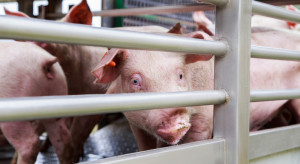 Elektroniczne świadectwa zdrowia zamiast papierowych? Tak, ale nie dla wszystkich