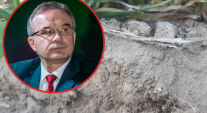 2. dawka azotu w pszenicy a brak opadów. Podać czy poczekać jeszcze?