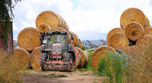 Rolnictwo w trybie przetrwania. Gospodarstwa jednoosobowe stają się normą